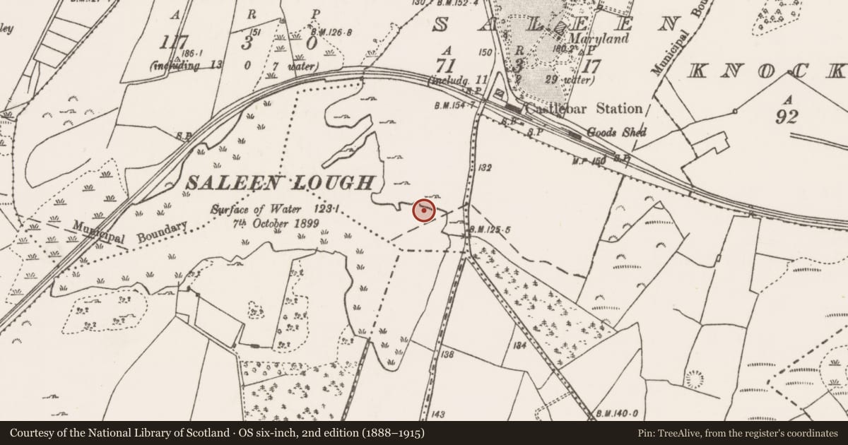 Ordnance Survey six-inch map, 2nd edition (1888–1915) covering the location of Crannog, Saleen, County Mayo, with a pin at the register's coordinates