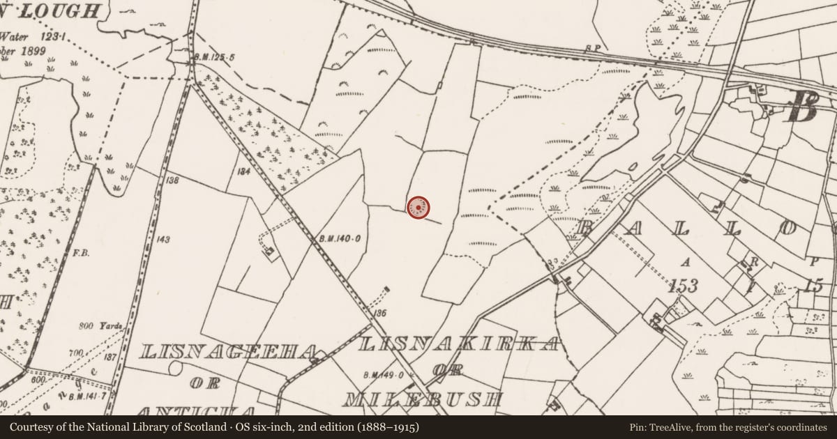 Ordnance Survey six-inch map, 2nd edition (1888–1915) covering the location of Ringfort - rath, Lisnakirka Or Milebush, County Mayo, with a pin at the register's coordinates