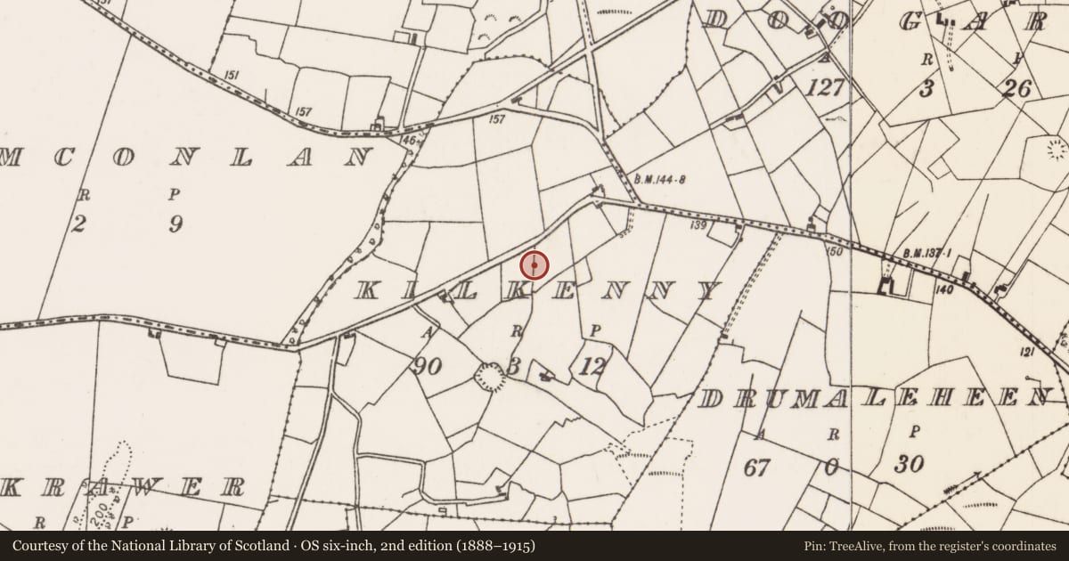 Ordnance Survey six-inch map, 2nd edition (1888–1915) covering the location of Ringfort - rath, Kilkenny, County Mayo, with a pin at the register's coordinates