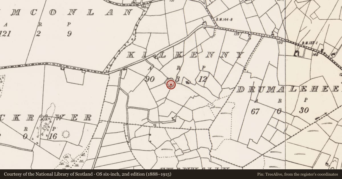 Ordnance Survey six-inch map, 2nd edition (1888–1915) covering the location of Ringfort - rath, Kilkenny, County Mayo, with a pin at the register's coordinates