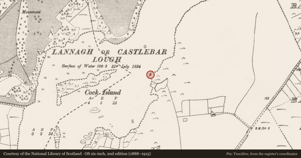Ordnance Survey six-inch map, 2nd edition (1888–1915) covering the location of Crannog, Ballymacrah, County Mayo, with a pin at the register's coordinates