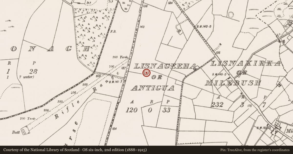 Ordnance Survey six-inch map, 2nd edition (1888–1915) covering the location of Ringfort - rath, Lisnageeha Or Antigua, County Mayo, with a pin at the register's coordinates