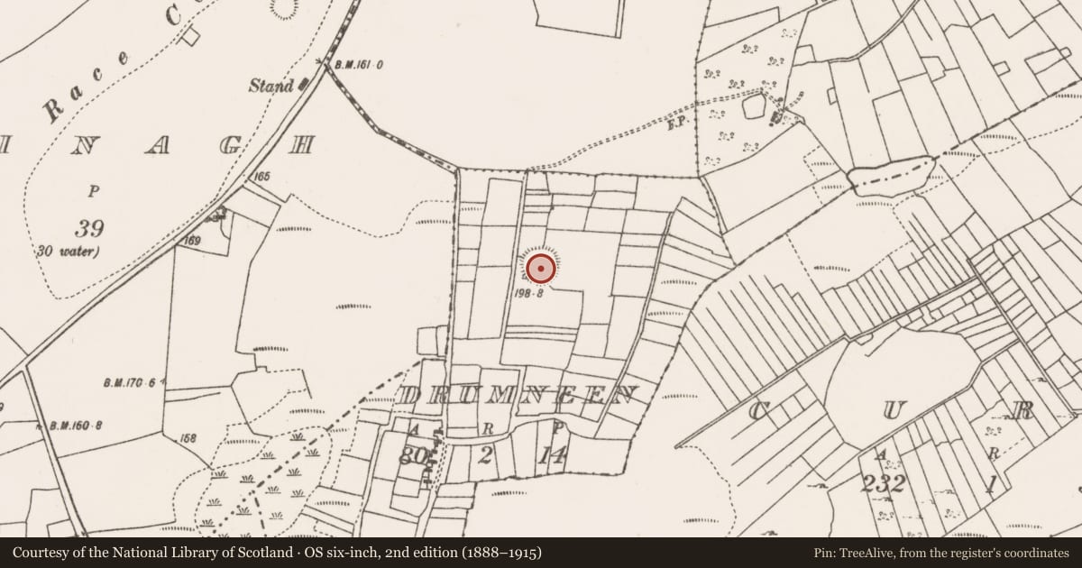 Ordnance Survey six-inch map, 2nd edition (1888–1915) covering the location of Ringfort - rath, Drumneen (Carra By., Aglish Par.), County Mayo, with a pin at the register's coordinates