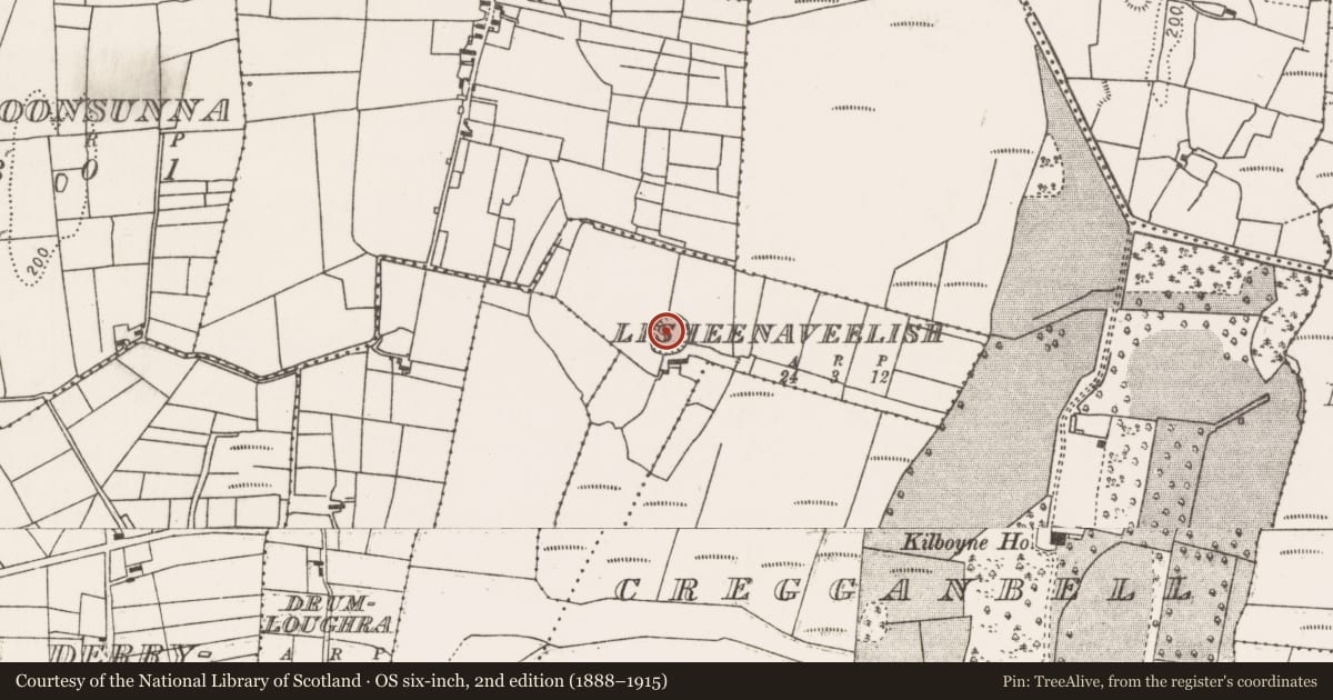 Ordnance Survey six-inch map, 2nd edition (1888–1915) covering the location of Ringfort - rath, Lisheenaveelish, County Mayo, with a pin at the register's coordinates