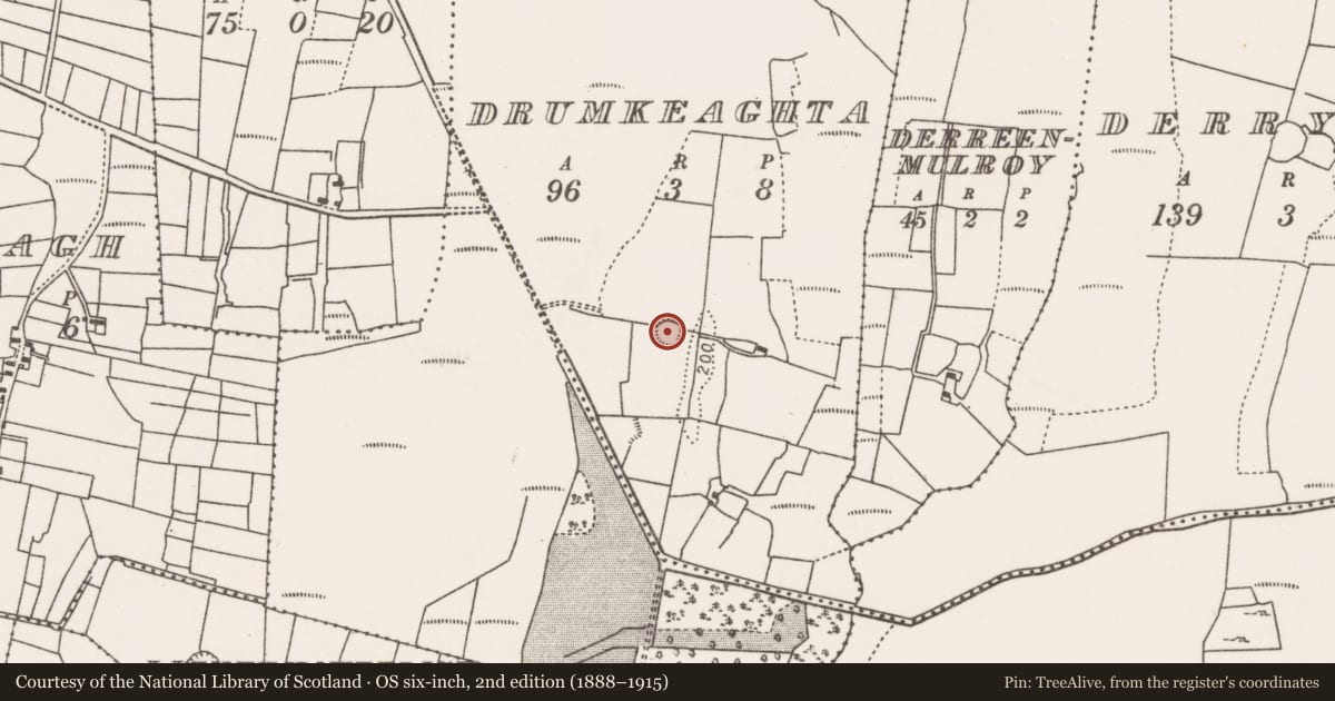 Ordnance Survey six-inch map, 2nd edition (1888–1915) covering the location of Ringfort - rath, Drumkeaghta, County Mayo, with a pin at the register's coordinates