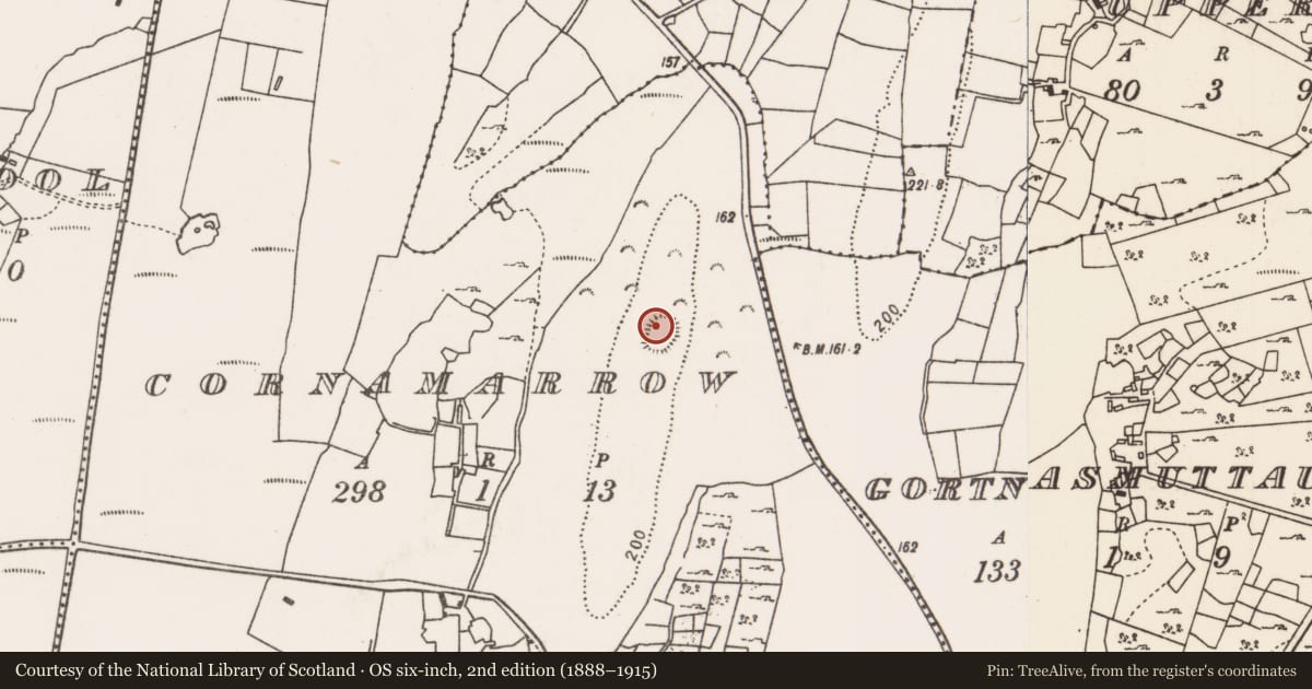 Ordnance Survey six-inch map, 2nd edition (1888–1915) covering the location of Ringfort - rath, Cornamarrow, County Mayo, with a pin at the register's coordinates