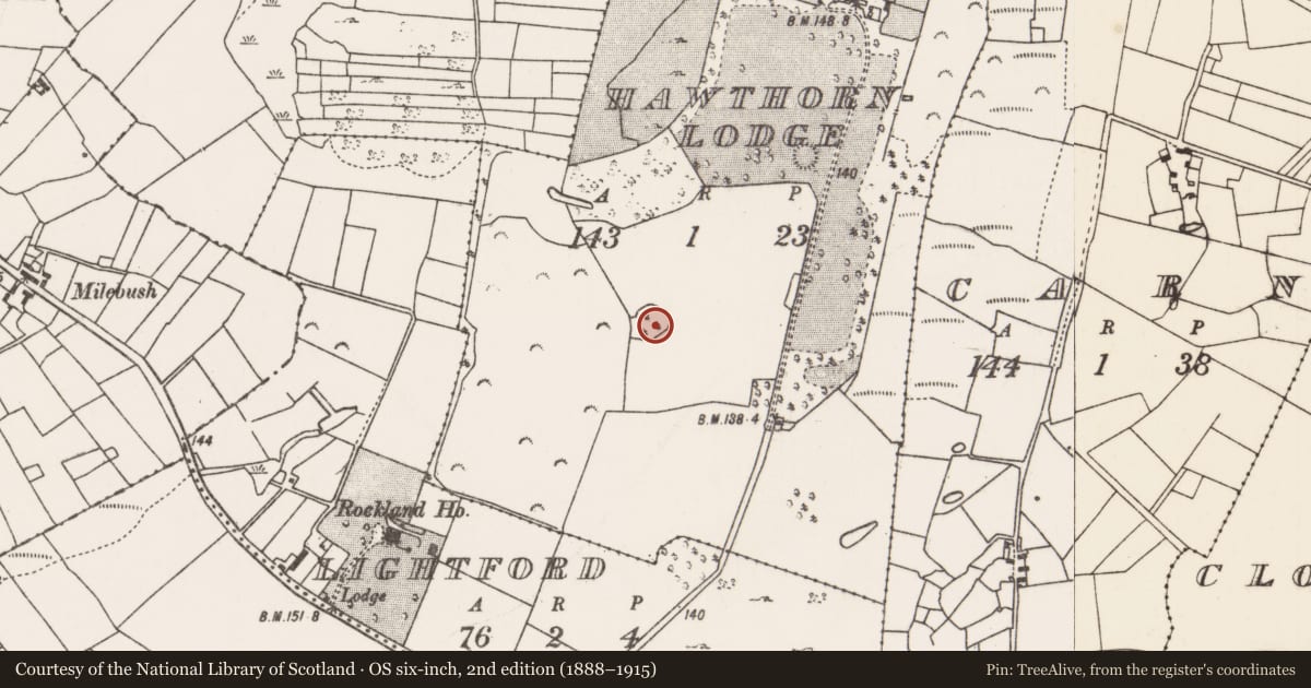 Ordnance Survey six-inch map, 2nd edition (1888–1915) covering the location of Ringfort - rath, Hawthornlodge, County Mayo, with a pin at the register's coordinates