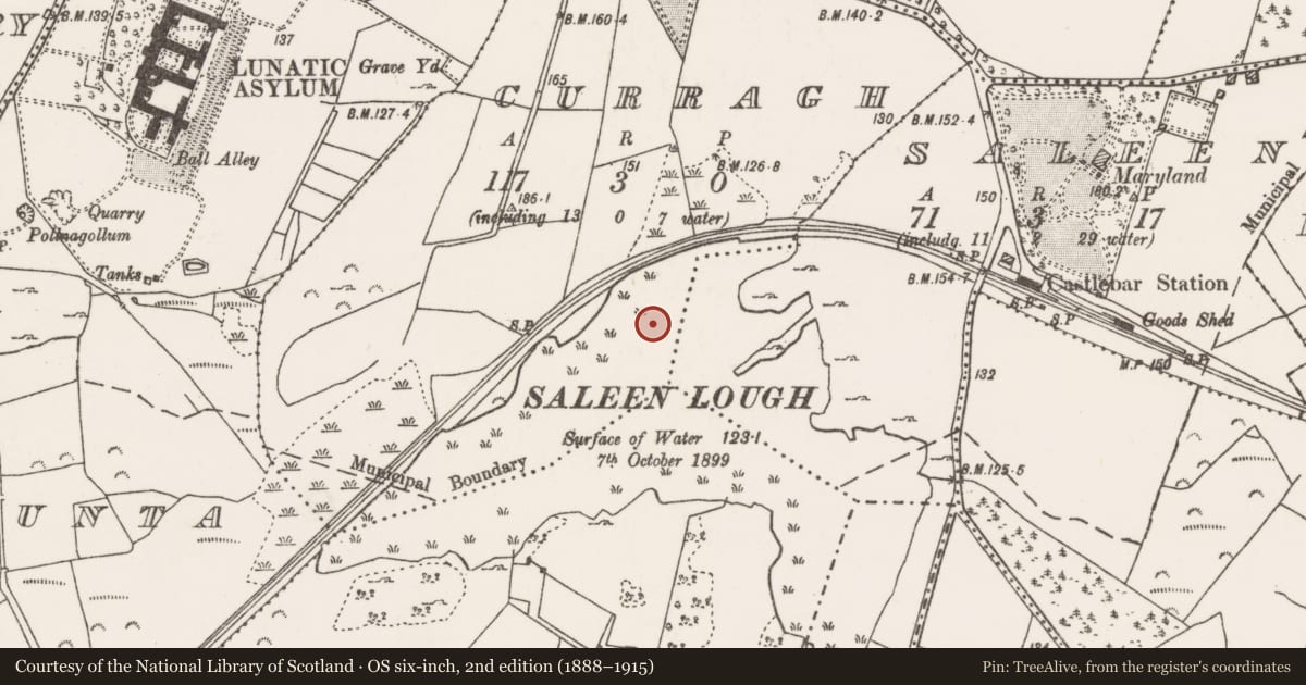 Ordnance Survey six-inch map, 2nd edition (1888–1915) covering the location of Crannog, Curragh, Saleen, County Mayo, with a pin at the register's coordinates