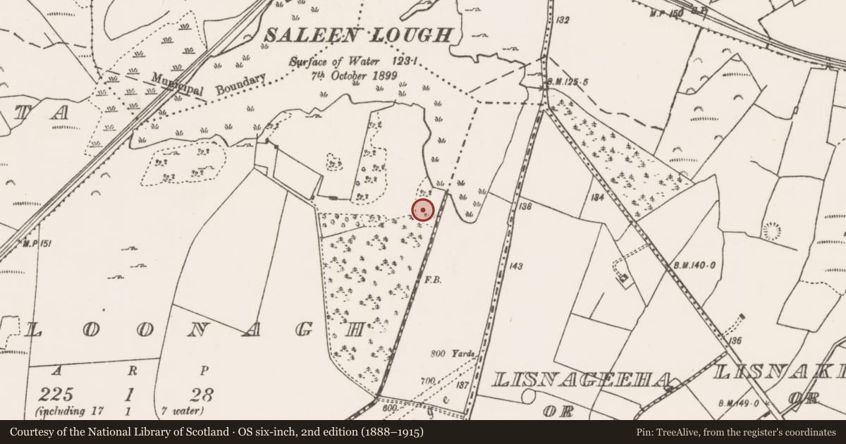Ordnance Survey six-inch map, 2nd edition (1888–1915) covering the location of Stone circle, Cloonagh (Carra By., Aglish Par.), County Mayo, with a pin at the register's coordinates