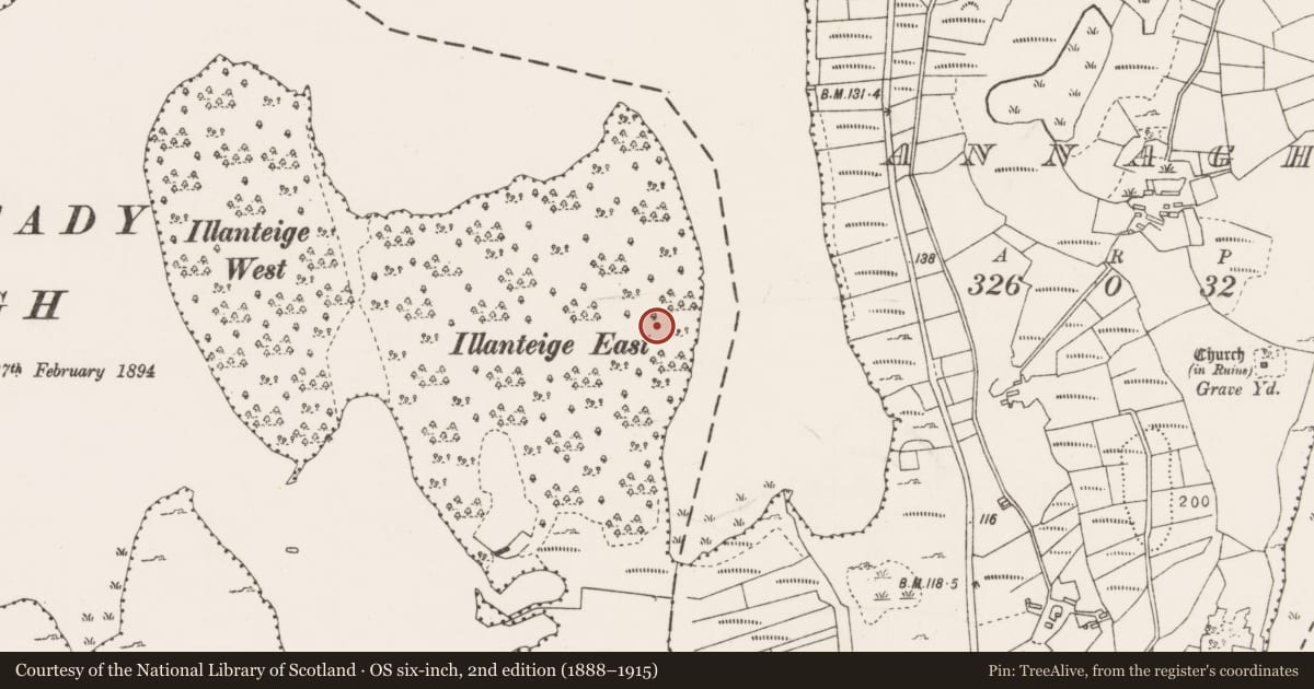 Ordnance Survey six-inch map, 2nd edition (1888–1915) covering the location of Burnt mound, Claggarnagh East, County Mayo, with a pin at the register's coordinates