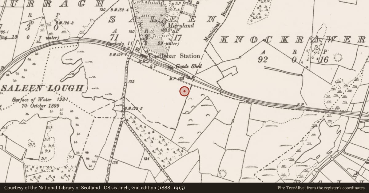 Ordnance Survey six-inch map, 2nd edition (1888–1915) covering the location of Fulacht fia, Saleen, County Mayo, with a pin at the register's coordinates
