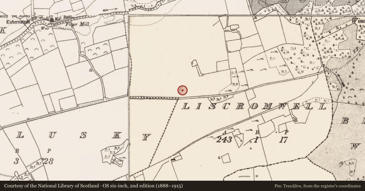 Ordnance Survey six-inch map, 2nd edition (1888–1915) covering the location of Ringfort - rath, Liscromwell, County Mayo, with a pin at the register's coordinates