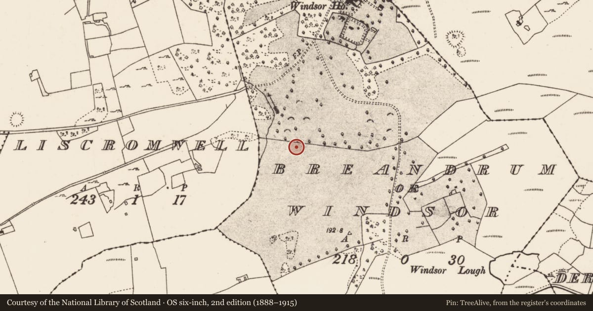 Ordnance Survey six-inch map, 2nd edition (1888–1915) covering the location of Barrow - ring-barrow, Breandrum Or Windsor, County Mayo, with a pin at the register's coordinates