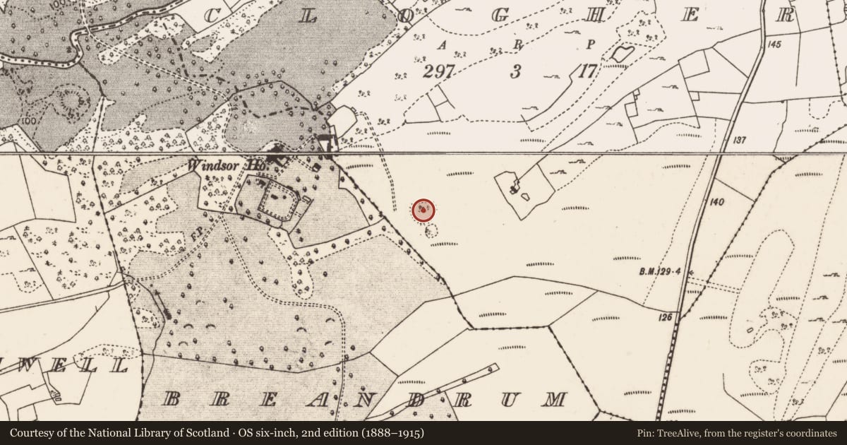 Ordnance Survey six-inch map, 2nd edition (1888–1915) covering the location of Ringfort - rath, Clogher (Carra By., Turlough Par.), County Mayo, with a pin at the register's coordinates