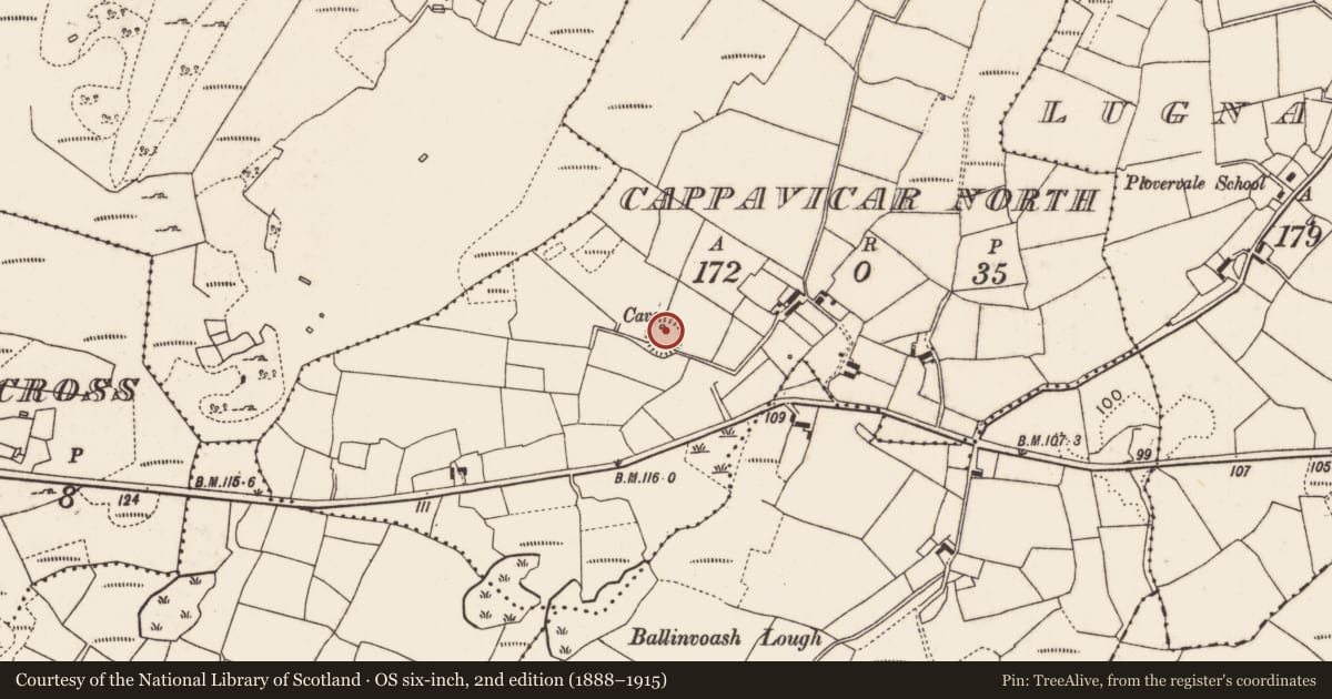 Ordnance Survey six-inch map, 2nd edition (1888–1915) covering the location of Souterrain, Cappavicar North, County Mayo, with a pin at the register's coordinates