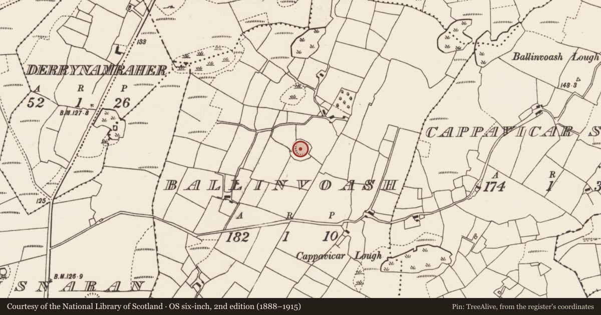 Ordnance Survey six-inch map, 2nd edition (1888–1915) covering the location of Ringfort - rath, Ballinvoash, County Mayo, with a pin at the register's coordinates