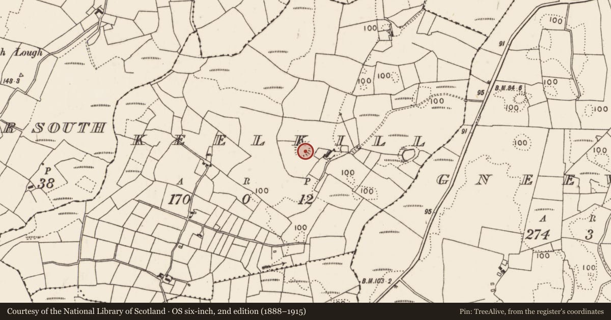 Ordnance Survey six-inch map, 2nd edition (1888–1915) covering the location of Ringfort - rath, Keelkill, County Mayo, with a pin at the register's coordinates