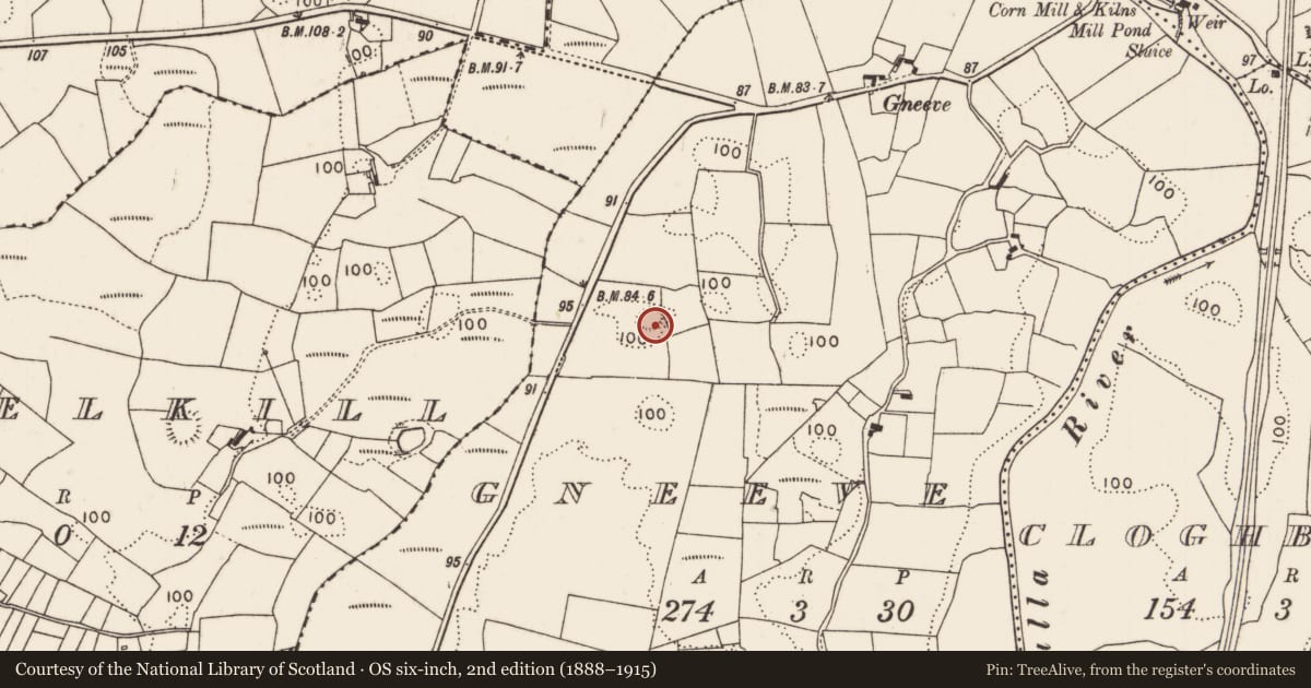 Ordnance Survey six-inch map, 2nd edition (1888–1915) covering the location of Ringfort - rath, Gneeve, County Mayo, with a pin at the register's coordinates