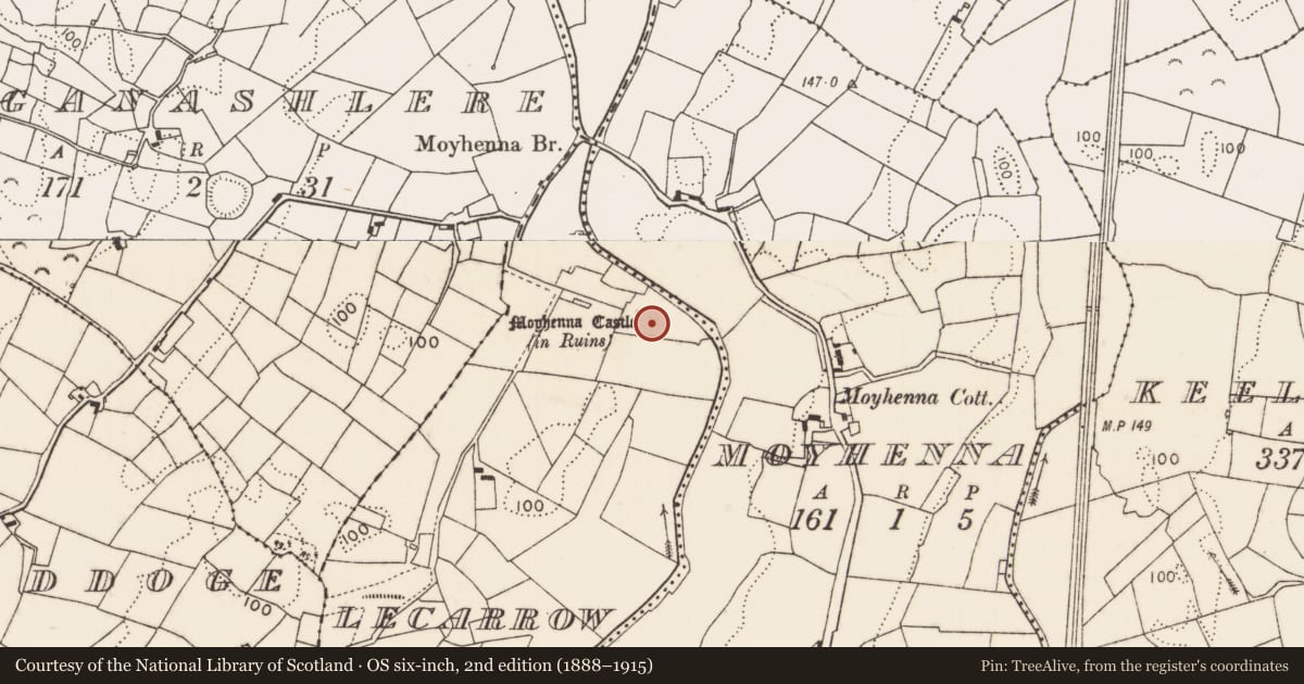 Ordnance Survey six-inch map, 2nd edition (1888–1915) covering the location of Castle - unclassified, Lecarrow (Carra By., Kildacommoge Par.), County Mayo, with a pin at the register's coordinates