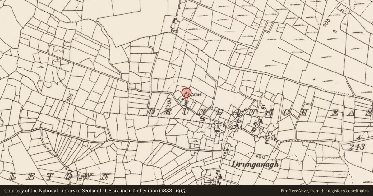 Ordnance Survey six-inch map, 2nd edition (1888–1915) covering the location of Ringfort - rath, Drunganagh East, County Mayo, with a pin at the register's coordinates