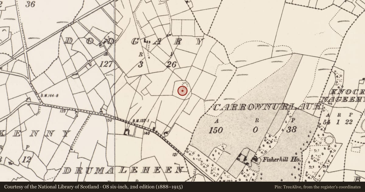 Ordnance Survey six-inch map, 2nd edition (1888–1915) covering the location of Enclosure, Doogary (Carra By., Breaghwy Par.), County Mayo, with a pin at the register's coordinates