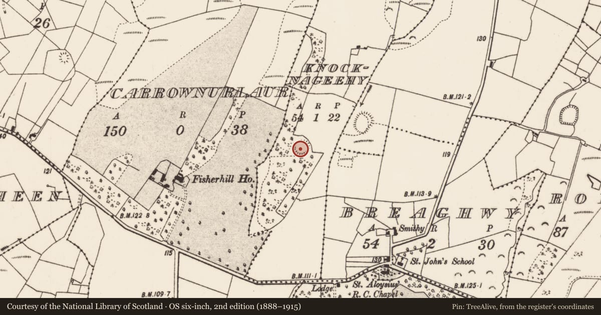 Ordnance Survey six-inch map, 2nd edition (1888–1915) covering the location of Ringfort - rath, Knocknageehy, County Mayo, with a pin at the register's coordinates