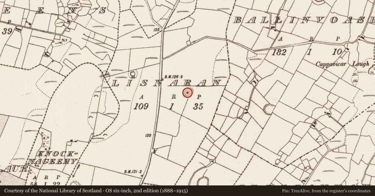 Ordnance Survey six-inch map, 2nd edition (1888–1915) covering the location of Ringfort - rath, Lisnaran, County Mayo, with a pin at the register's coordinates