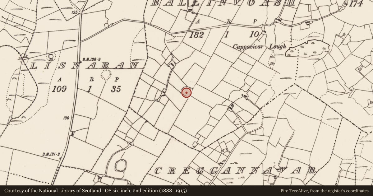 Ordnance Survey six-inch map, 2nd edition (1888–1915) covering the location of Ringfort - rath, Ballinvoash, County Mayo, with a pin at the register's coordinates