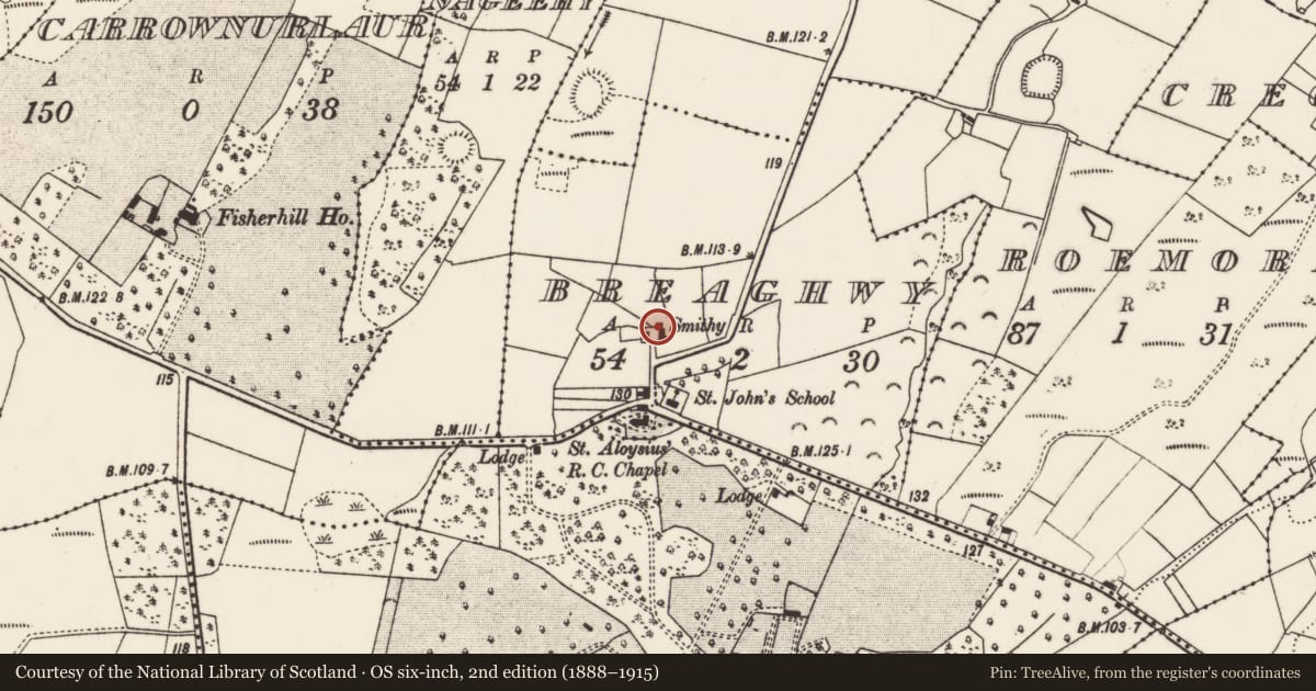 Ordnance Survey six-inch map, 2nd edition (1888–1915) covering the location of Chapel, Breaghwy, County Mayo, with a pin at the register's coordinates