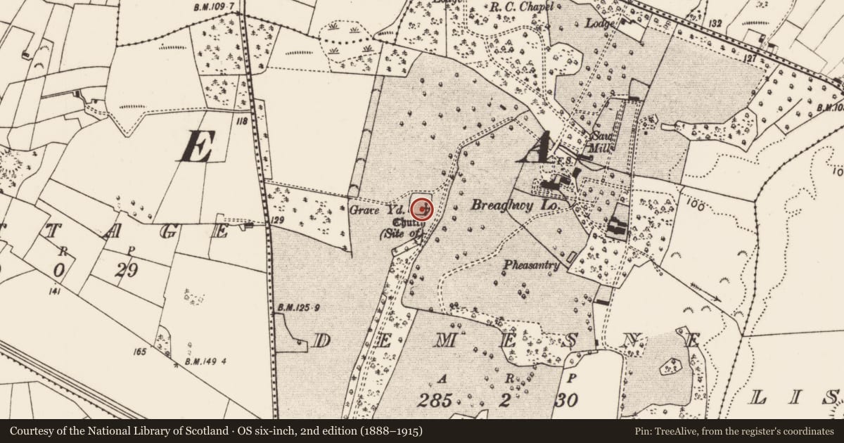 Ordnance Survey six-inch map, 2nd edition (1888–1915) covering the location of Church, Demesne, County Mayo, with a pin at the register's coordinates
