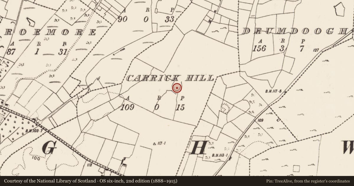Ordnance Survey six-inch map, 2nd edition (1888–1915) covering the location of Ringfort - rath, Carrick Hill, County Mayo, with a pin at the register's coordinates