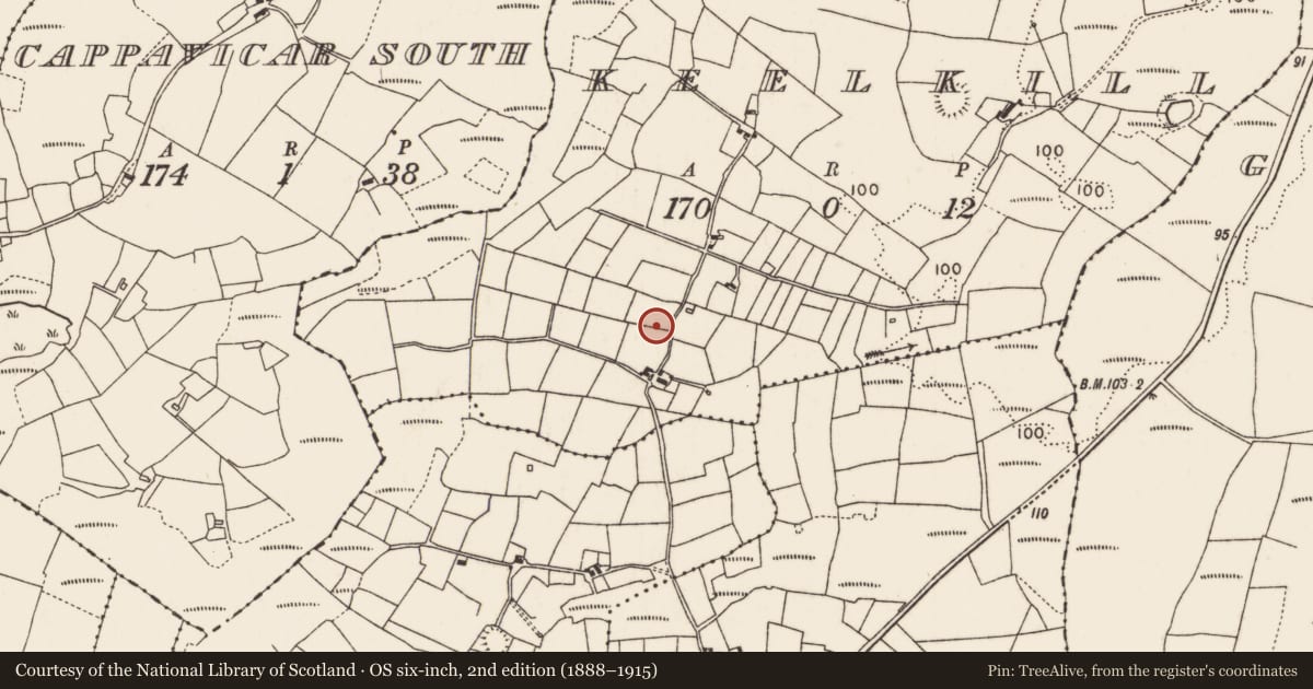 Ordnance Survey six-inch map, 2nd edition (1888–1915) covering the location of Enclosure, Keelkill, County Mayo, with a pin at the register's coordinates