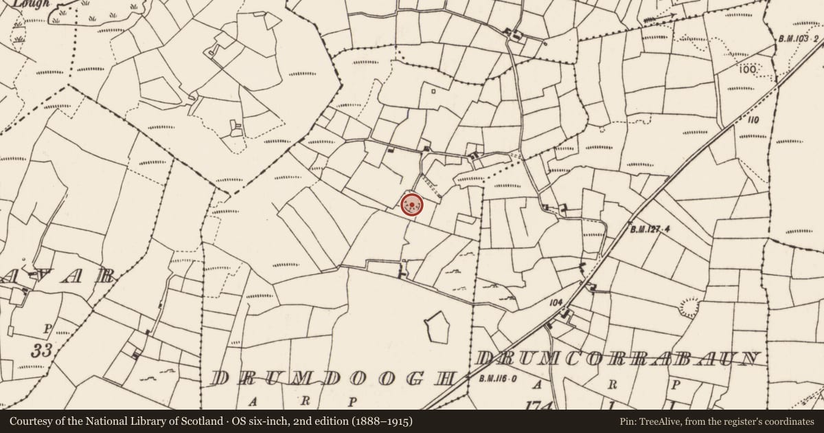 Ordnance Survey six-inch map, 2nd edition (1888–1915) covering the location of Ringfort - rath, Drumdoogh, County Mayo, with a pin at the register's coordinates
