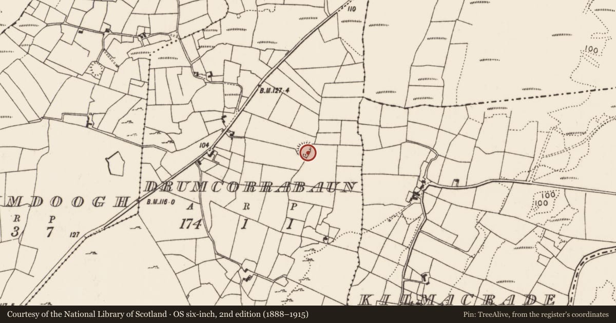 Ordnance Survey six-inch map, 2nd edition (1888–1915) covering the location of Ringfort - rath, Drumcorrabaun (Carra By., Breaghwy Par.), County Mayo, with a pin at the register's coordinates