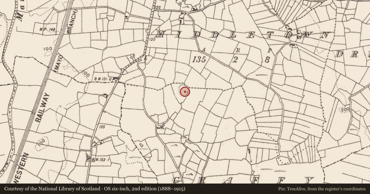 Ordnance Survey six-inch map, 2nd edition (1888–1915) covering the location of Ringfort - rath, Graffy, County Mayo, with a pin at the register's coordinates