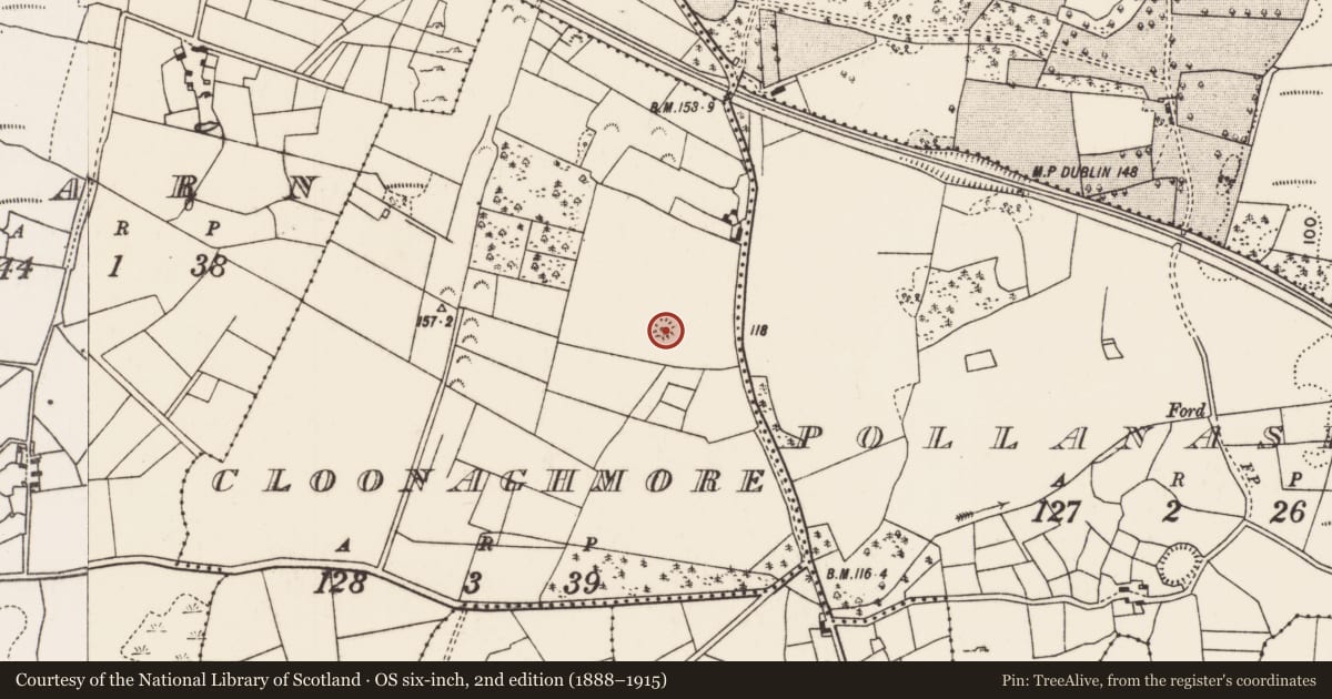 Ordnance Survey six-inch map, 2nd edition (1888–1915) covering the location of Enclosure, Cloonaghmore (Carra By., Breaghwy Par.), County Mayo, with a pin at the register's coordinates