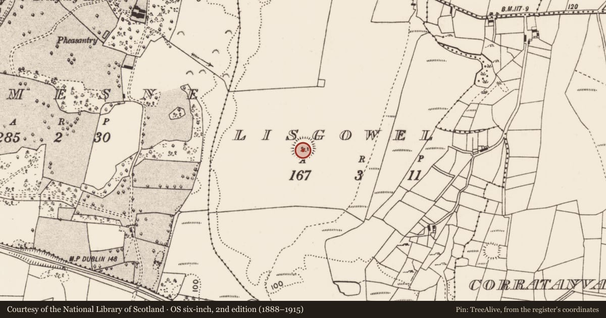 Ordnance Survey six-inch map, 2nd edition (1888–1915) covering the location of Ringfort - rath, Lisgowel, County Mayo, with a pin at the register's coordinates