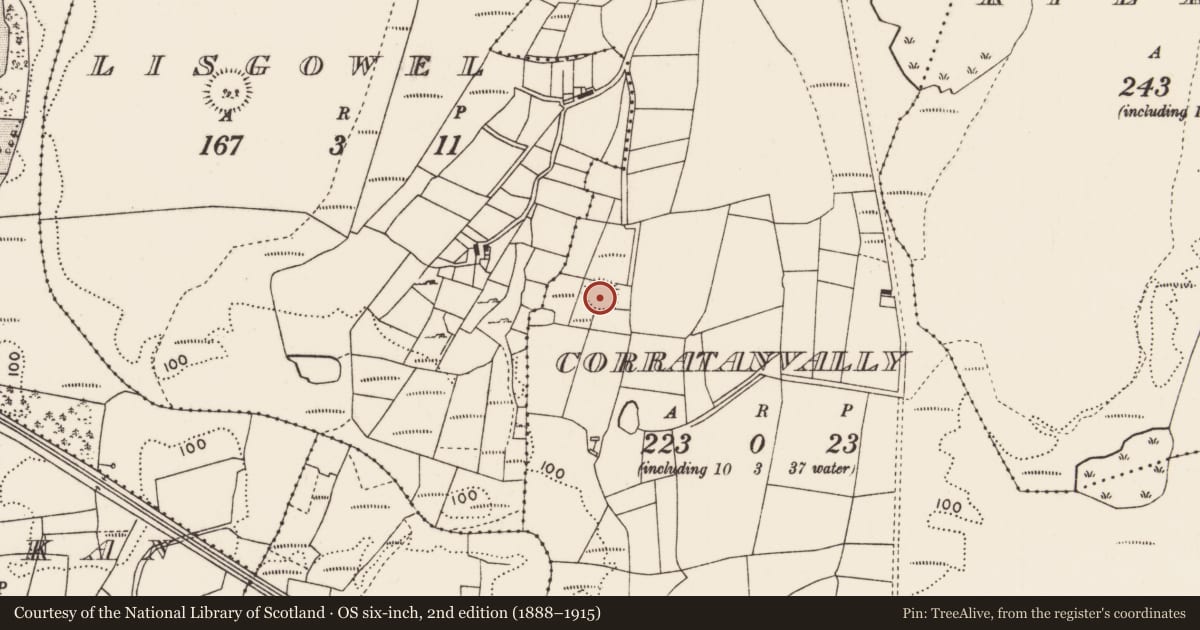 Ordnance Survey six-inch map, 2nd edition (1888–1915) covering the location of Ringfort - rath, Corratanvally, County Mayo, with a pin at the register's coordinates