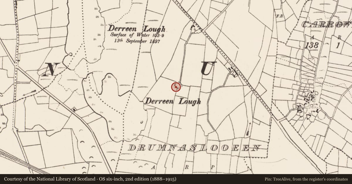 Ordnance Survey six-inch map, 2nd edition (1888–1915) covering the location of Ringfort - rath, Drumnaslooeen, County Mayo, with a pin at the register's coordinates