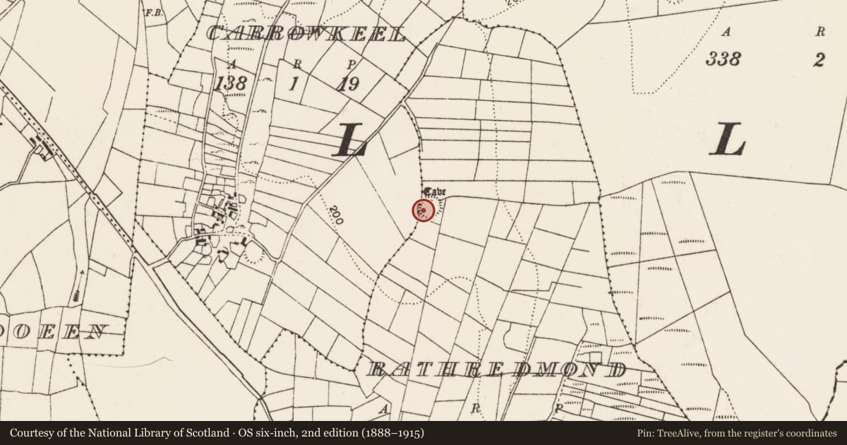 Ordnance Survey six-inch map, 2nd edition (1888–1915) covering the location of Ringfort - rath, Rathredmond, County Mayo, with a pin at the register's coordinates