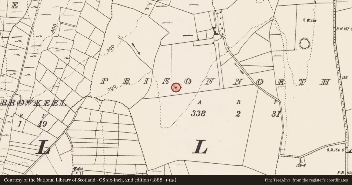 Ordnance Survey six-inch map, 2nd edition (1888–1915) covering the location of Ringfort - rath, Prison North, County Mayo, with a pin at the register's coordinates