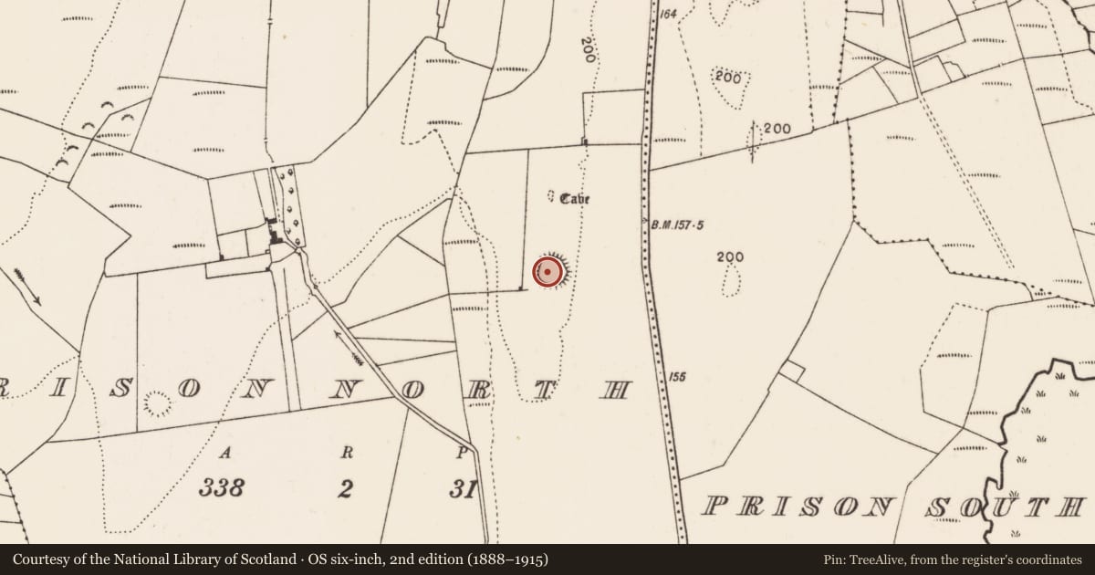 Ordnance Survey six-inch map, 2nd edition (1888–1915) covering the location of Ringfort - rath, Prison North, County Mayo, with a pin at the register's coordinates