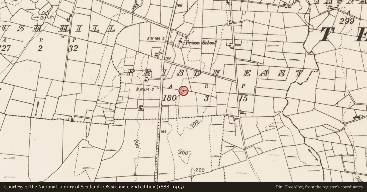 Ordnance Survey six-inch map, 2nd edition (1888–1915) covering the location of Ringfort - rath, Prison East, County Mayo, with a pin at the register's coordinates