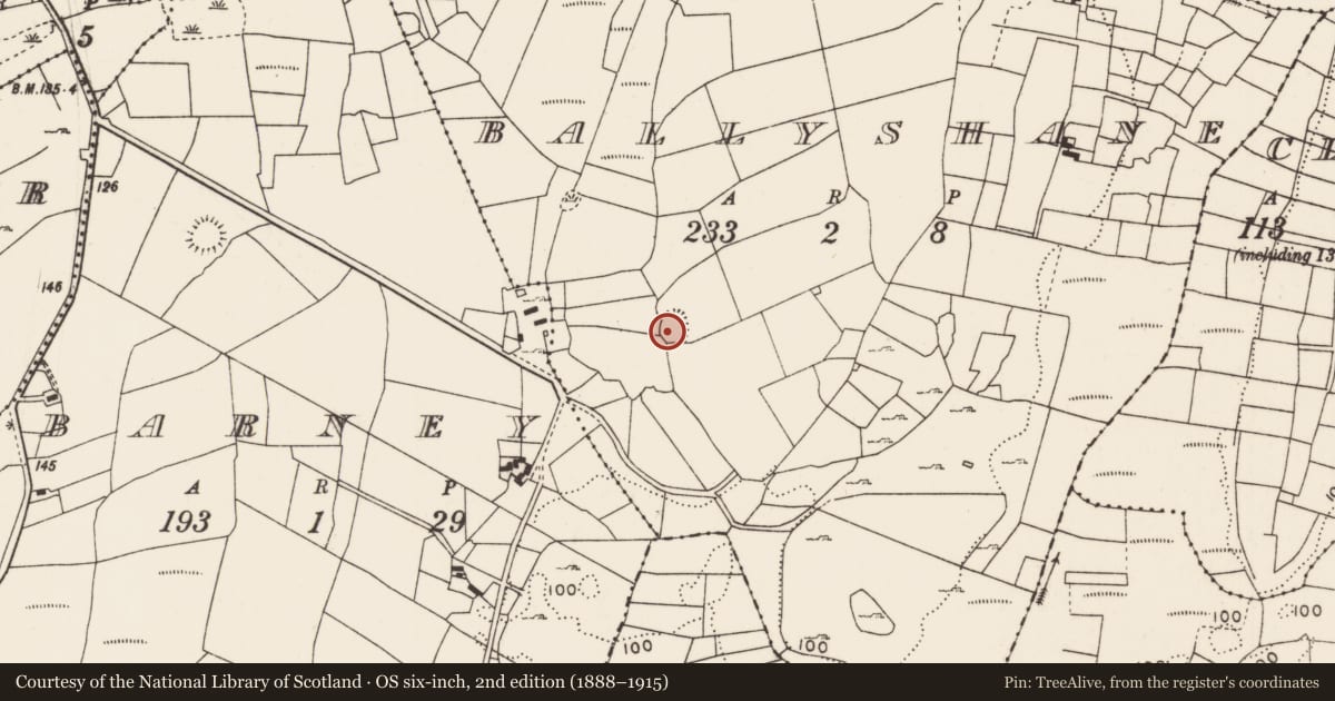 Ordnance Survey six-inch map, 2nd edition (1888–1915) covering the location of Ringfort - rath, Ballyshane, County Mayo, with a pin at the register's coordinates