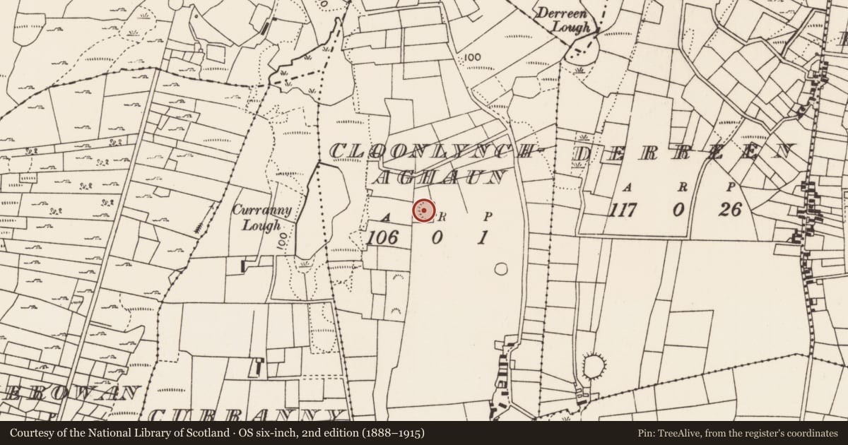 Ordnance Survey six-inch map, 2nd edition (1888–1915) covering the location of Ringfort - rath, Cloonlynchaghaun, County Mayo, with a pin at the register's coordinates