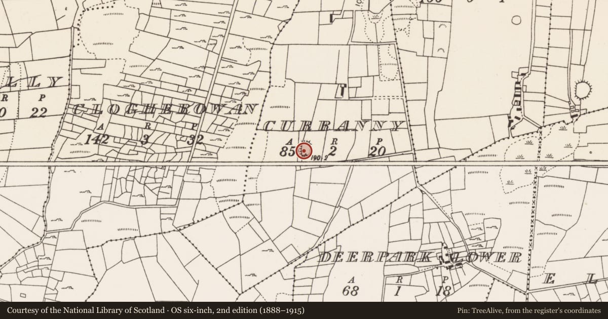 Ordnance Survey six-inch map, 2nd edition (1888–1915) covering the location of Ringfort - rath, Curranny, County Mayo, with a pin at the register's coordinates