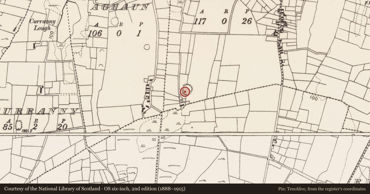 Ordnance Survey six-inch map, 2nd edition (1888–1915) covering the location of Ringfort - rath, Derreen (Carra By., Drum Par.), County Mayo, with a pin at the register's coordinates
