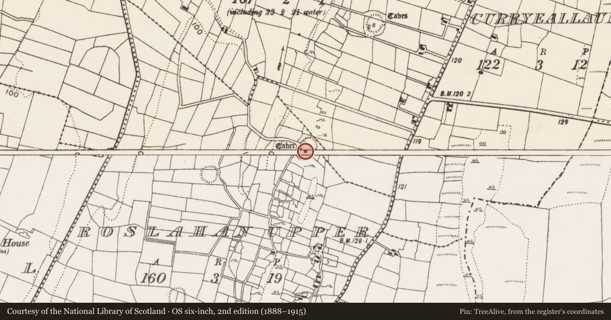 Ordnance Survey six-inch map, 2nd edition (1888–1915) covering the location of Ringfort - cashel, Roslahan Upper, County Mayo, with a pin at the register's coordinates