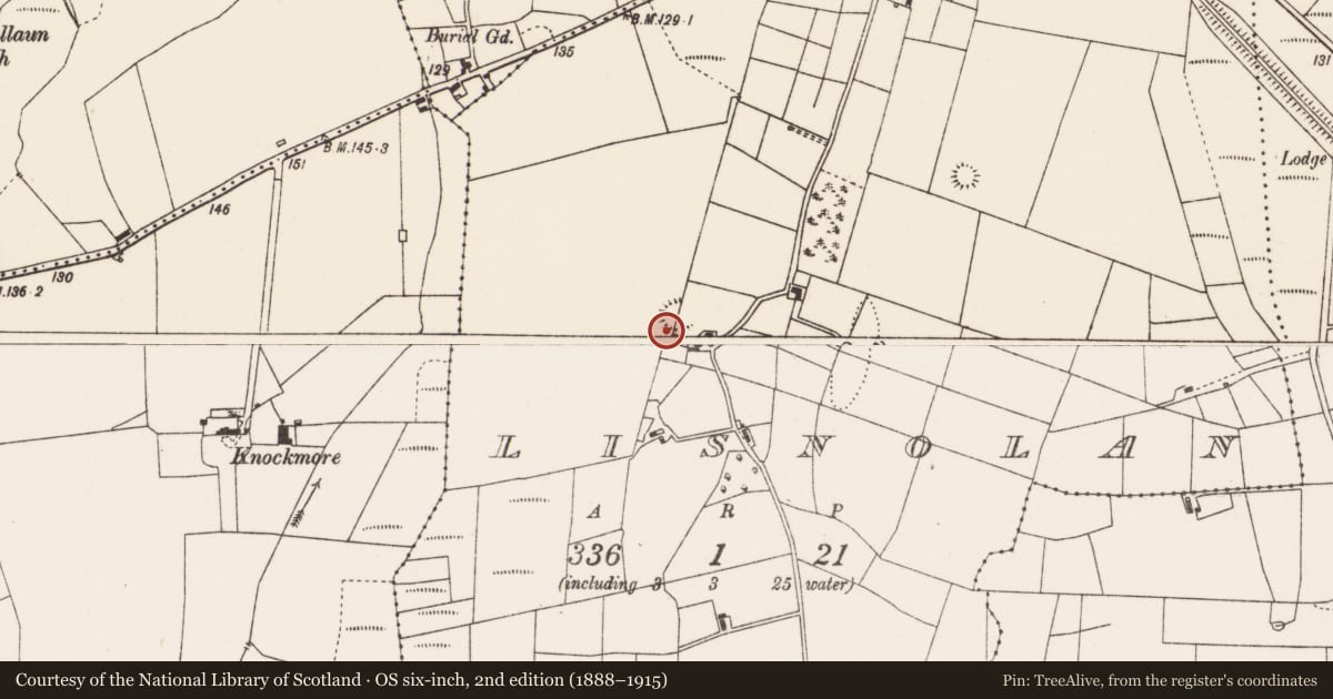 Ordnance Survey six-inch map, 2nd edition (1888–1915) covering the location of Ringfort - rath, Lisnolan, County Mayo, with a pin at the register's coordinates