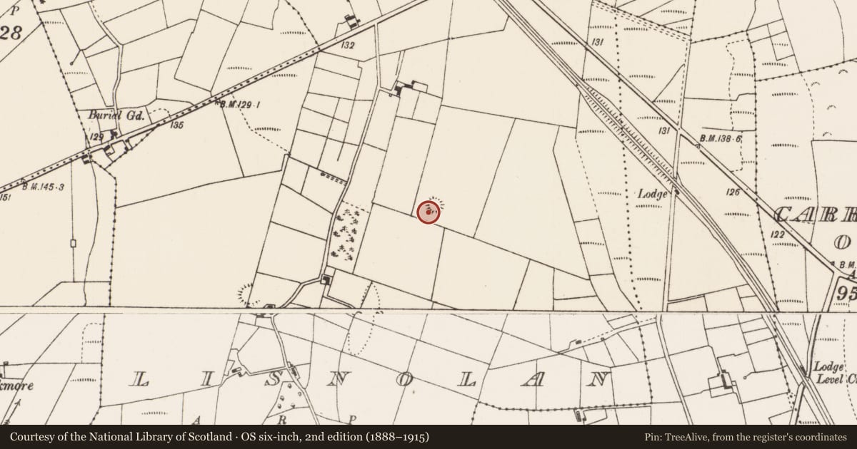 Ordnance Survey six-inch map, 2nd edition (1888–1915) covering the location of Enclosure, Lisnolan, County Mayo, with a pin at the register's coordinates